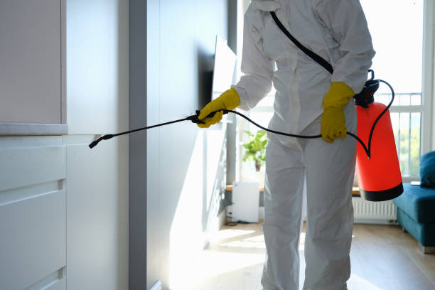 Mold Remediation for Rental Properties in Rolling Hills Estates, CA